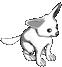 Fennecus