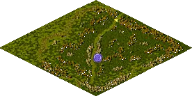 Forest of darkness